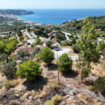 dji fly 20250703 115242 0221 1751623780396 photo